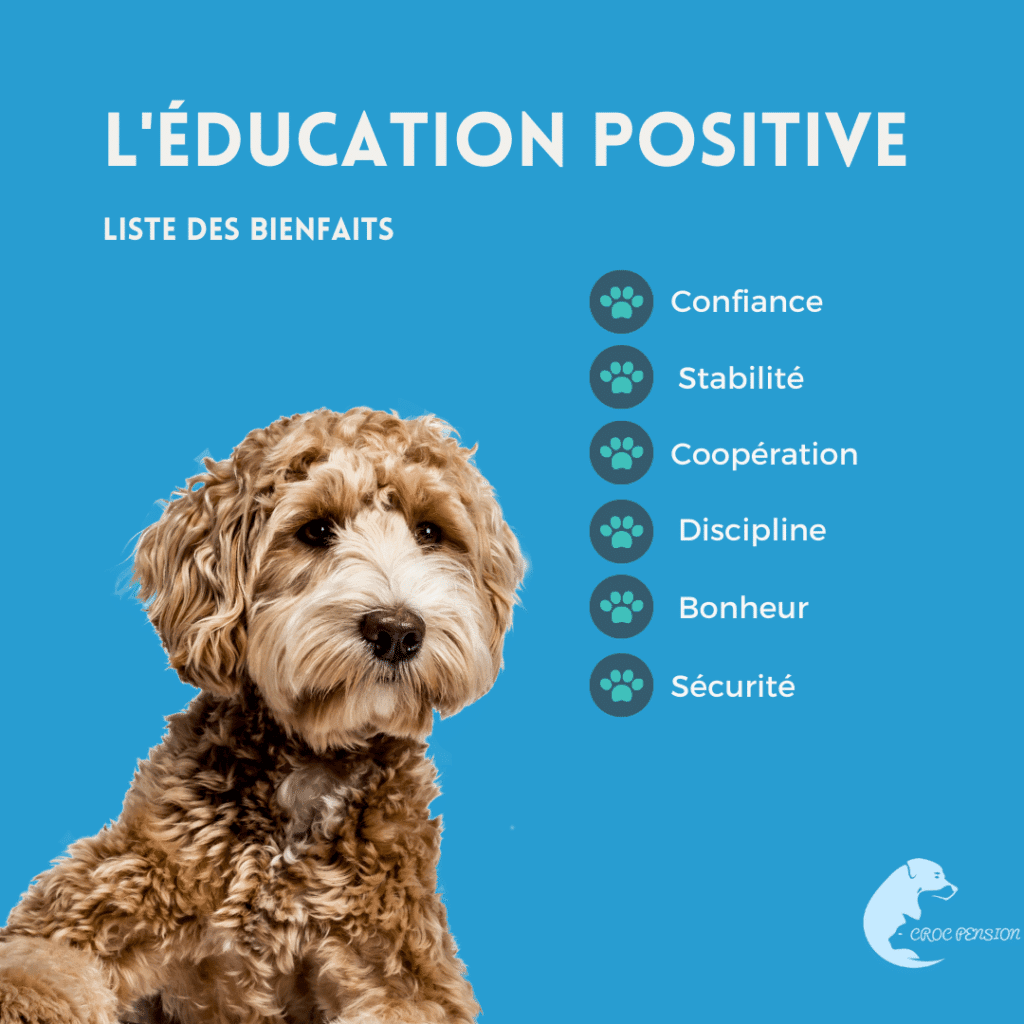 Les bienfaits de l'éducation positive