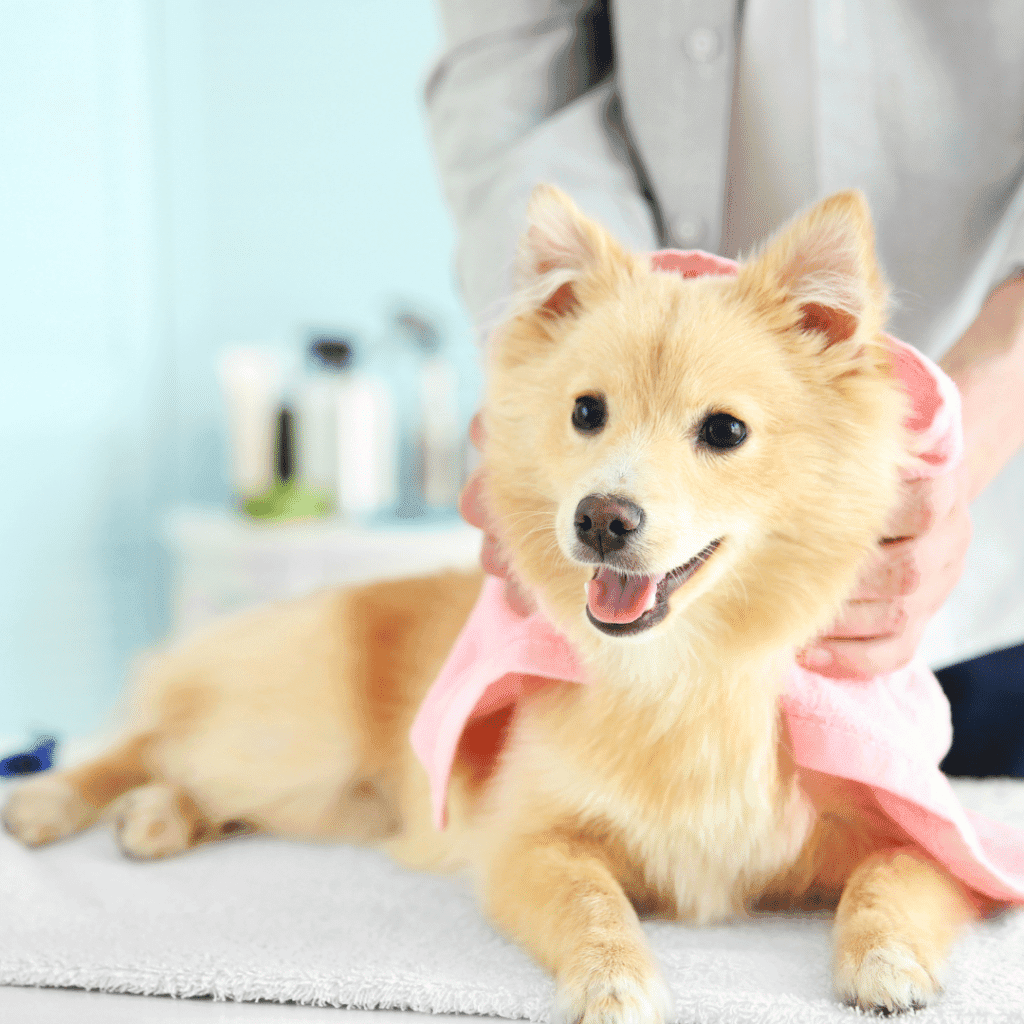 Favoriser la routine et la régularité