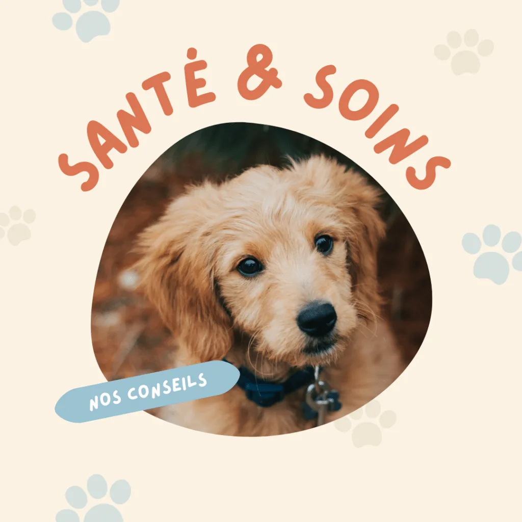 Santé & soins