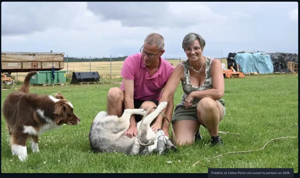 Dix ans de colonie de vacances pour chiens et chats à Croc pension