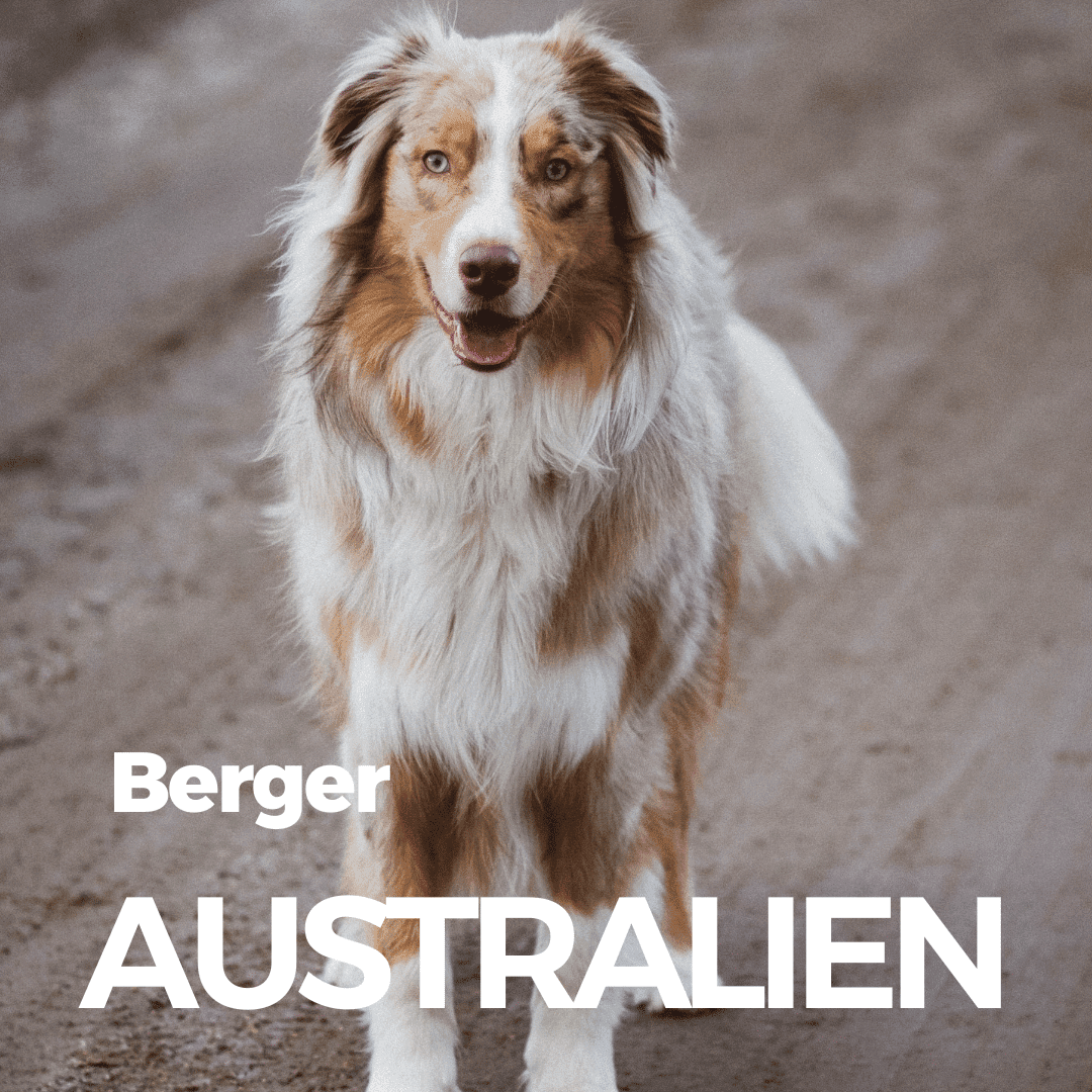 Berger Australien