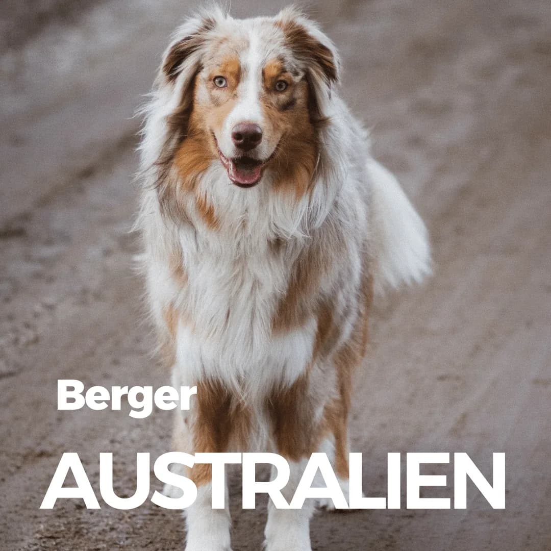 Berger Australien