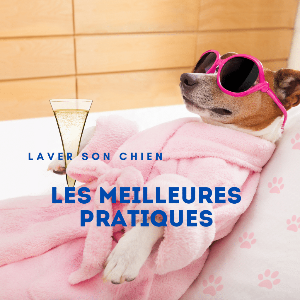 Laver son chien , Les meilleures pratiques