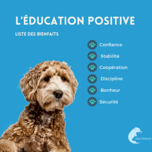 L'éducation positive liste des bienfaits